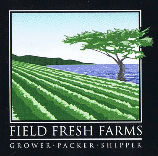 Cypress Engineering Group